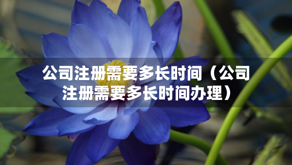 公司注册需要多长时间（公司注册需要多长时间办理）