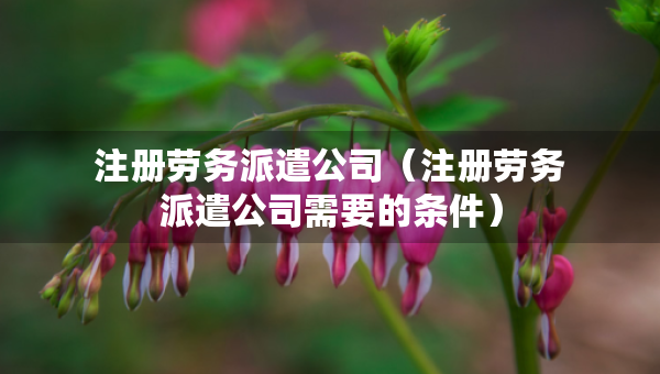 注册劳务派遣公司（注册劳务派遣公司需要的条件）