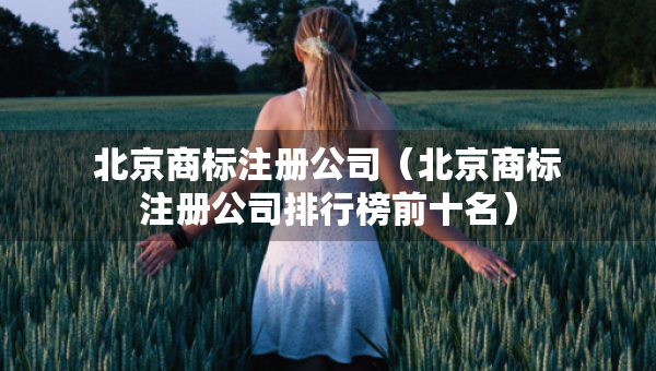 北京商标注册公司（北京商标注册公司排行榜前十名）