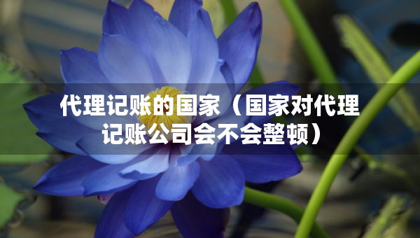 代理记账的国家（国家对代理记账公司会不会整顿）