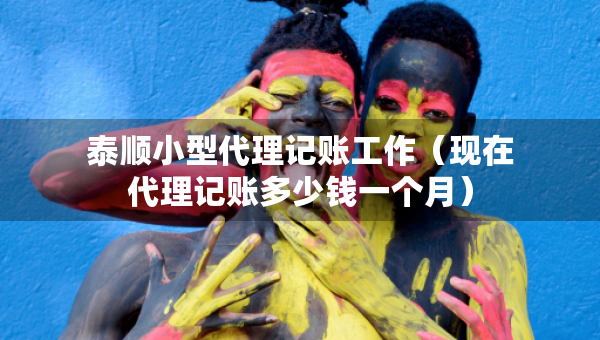 泰顺小型代理记账工作（现在代理记账多少钱一个月）