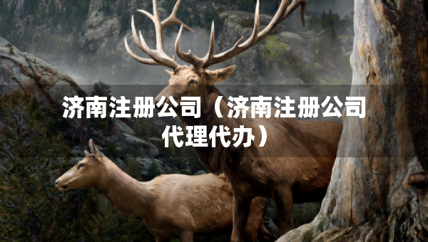 济南注册公司（济南注册公司代理代办）