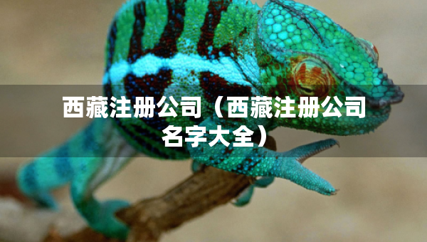 西藏注册公司（西藏注册公司名字大全）