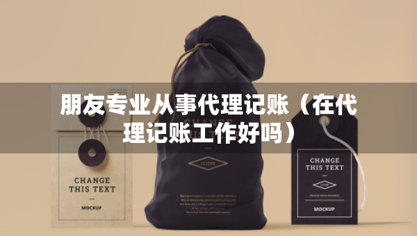 朋友专业从事代理记账（在代理记账工作好吗）