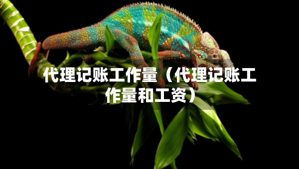 代理记账工作量（代理记账工作量和工资）