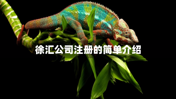 徐汇公司注册的简单介绍