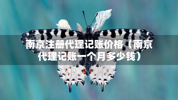 南京注册代理记账价格（南京代理记账一个月多少钱）