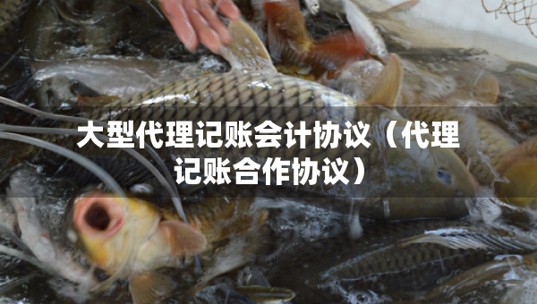 大型代理记账会计协议（代理记账合作协议）