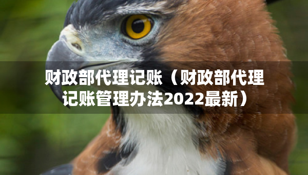 财政部代理记账（财政部代理记账管理办法2022最新）