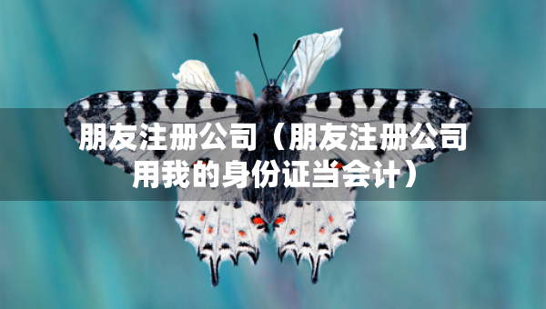 朋友注册公司（朋友注册公司用我的身份证当会计）