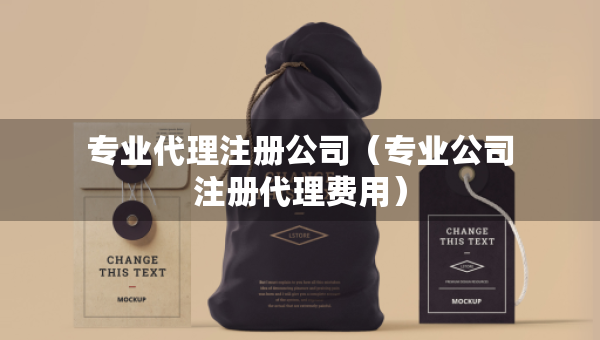 专业代理注册公司（专业公司注册代理费用）