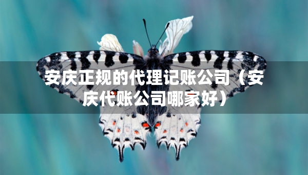 安庆正规的代理记账公司（安庆代账公司哪家好）