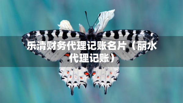 乐清财务代理记账名片（丽水代理记账）