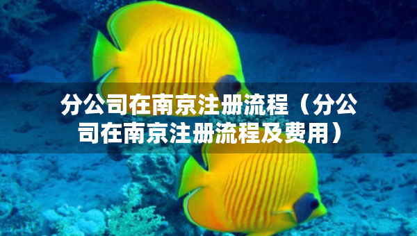 分公司在南京注册流程（分公司在南京注册流程及费用）