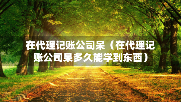 在代理记账公司呆（在代理记账公司呆多久能学到东西）