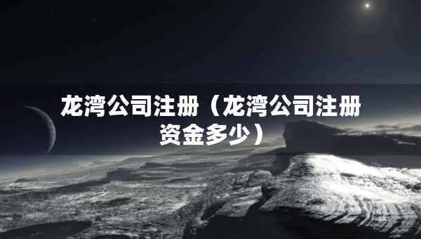 龙湾公司注册（龙湾公司注册资金多少）