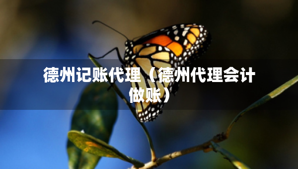 德州记账代理（德州代理会计做账）