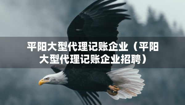 平阳大型代理记账企业（平阳大型代理记账企业招聘）