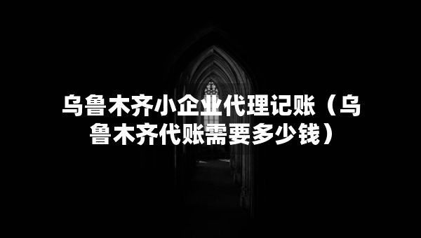 乌鲁木齐小企业代理记账（乌鲁木齐代账需要多少钱）