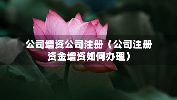 公司增资公司注册（公司注册资金增资如何办理）