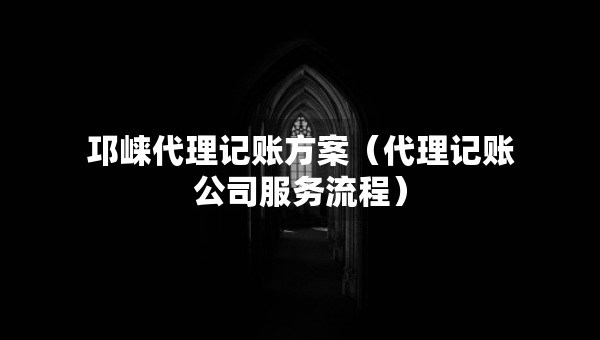 邛崃代理记账方案（代理记账公司服务流程）