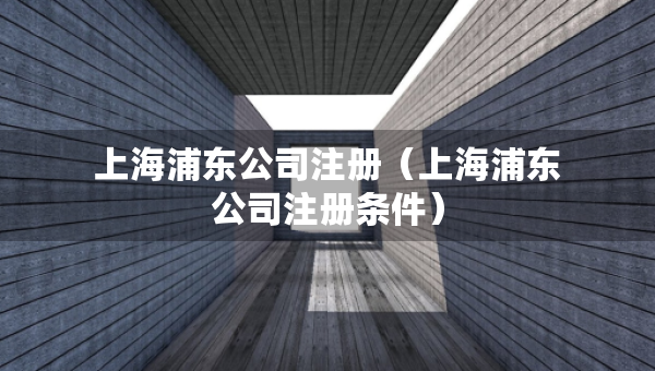 上海浦东公司注册（上海浦东公司注册条件）
