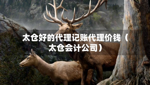 太仓好的代理记账代理价钱（太仓会计公司）