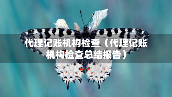 代理记账机构检查（代理记账机构检查总结报告）