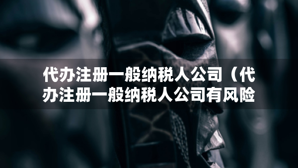代办注册一般纳税人公司（代办注册一般纳税人公司有风险吗）