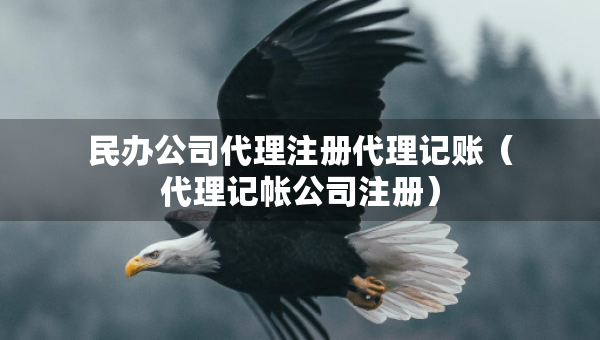民办公司代理注册代理记账（代理记帐公司注册）