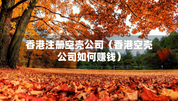 香港注册空壳公司（香港空壳公司如何赚钱）