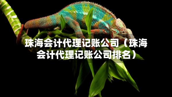 珠海会计代理记账公司（珠海会计代理记账公司排名）
