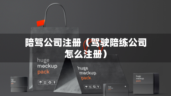 陪驾公司注册（驾驶陪练公司怎么注册）