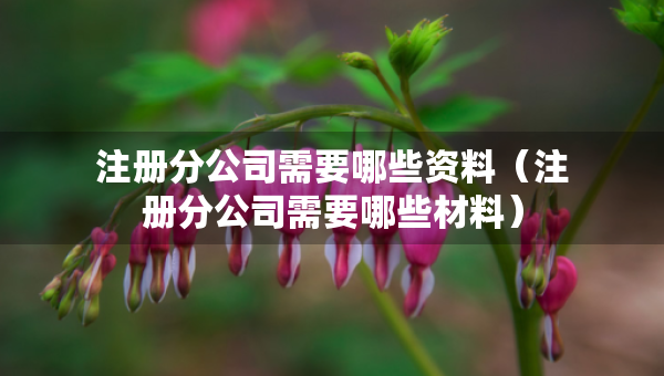 注册分公司需要哪些资料（注册分公司需要哪些材料）