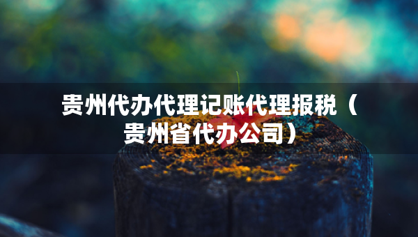 贵州代办代理记账代理报税（贵州省代办公司）