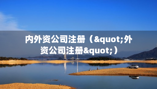 内外资公司注册（"外资公司注册"）
