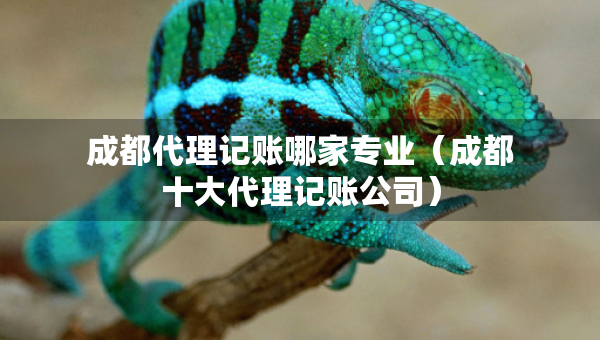 成都代理记账哪家专业（成都十大代理记账公司）