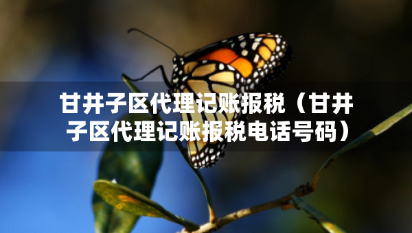 甘井子区代理记账报税（甘井子区代理记账报税电话号码）