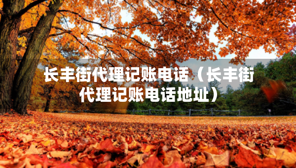 长丰街代理记账电话（长丰街代理记账电话地址）