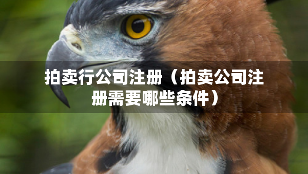 拍卖行公司注册（拍卖公司注册需要哪些条件）