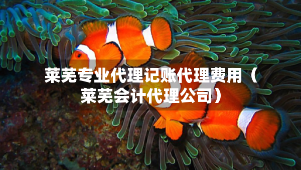 莱芜专业代理记账代理费用（莱芜会计代理公司）