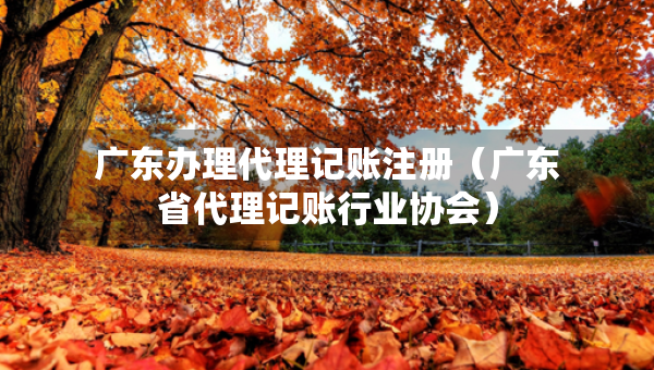 广东办理代理记账注册（广东省代理记账行业协会）