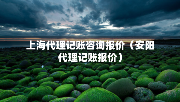 上海代理记账咨询报价（安阳代理记账报价）