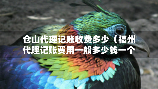 仓山代理记账收费多少（福州代理记账费用一般多少钱一个月）