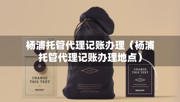 杨浦托管代理记账办理（杨浦托管代理记账办理地点）