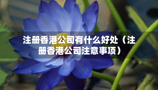 注册香港公司有什么好处（注册香港公司注意事项）