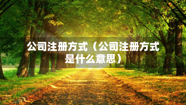 公司注册方式（公司注册方式是什么意思）