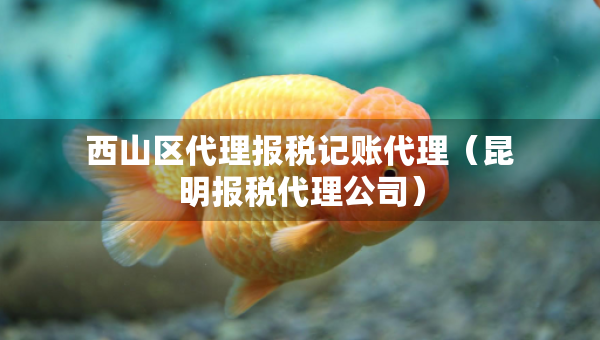 西山区代理报税记账代理（昆明报税代理公司）