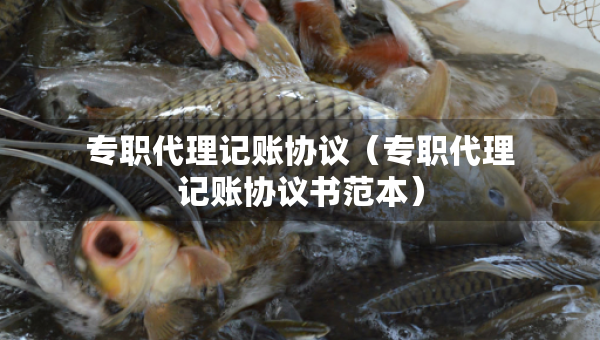 专职代理记账协议（专职代理记账协议书范本）