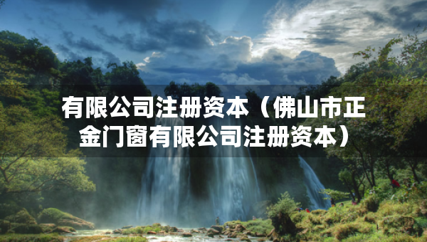 有限公司注册资本（佛山市正金门窗有限公司注册资本）